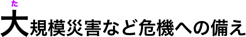 大規模災害など危機への備え